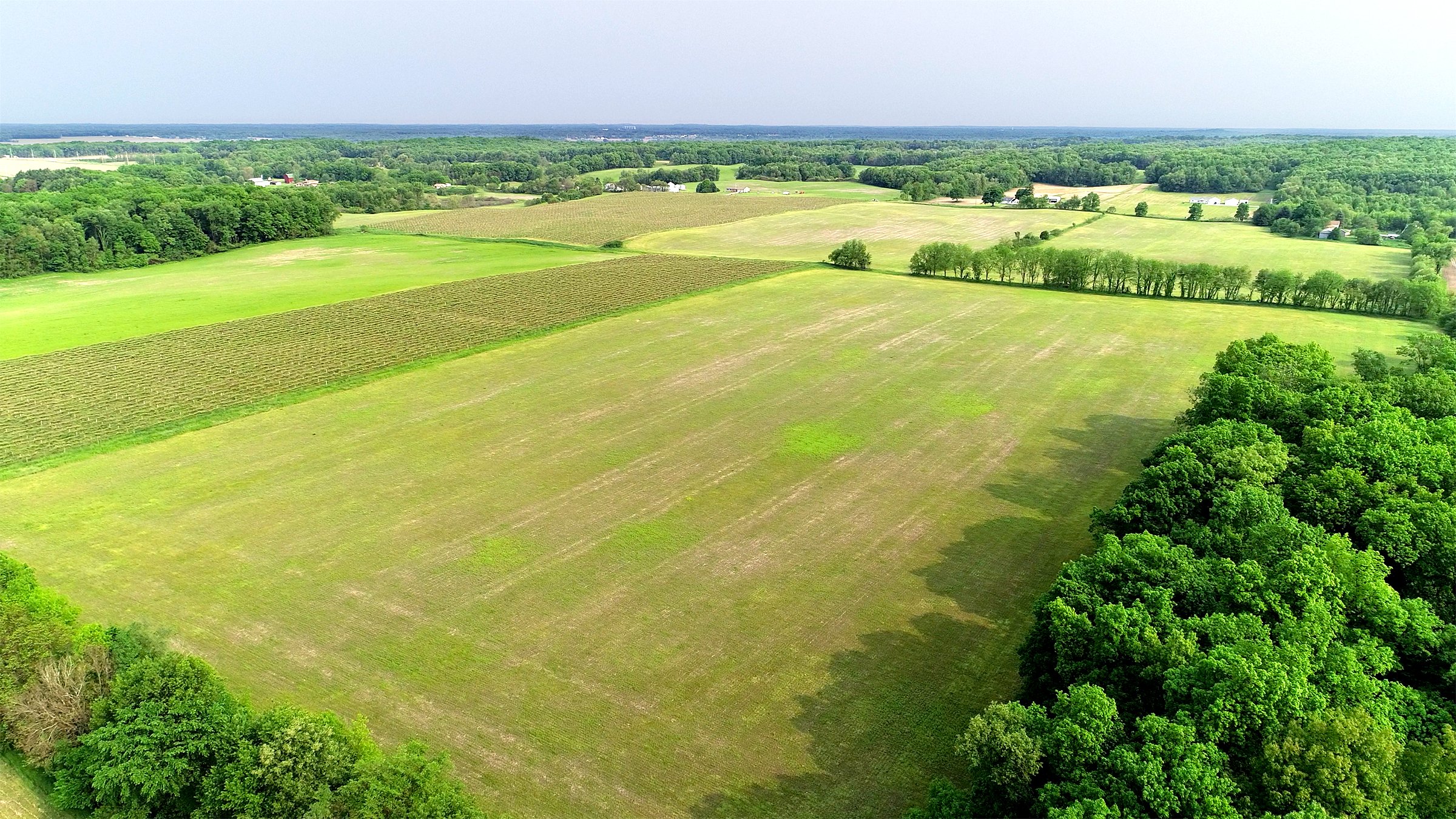 Van Buren County, Michigan farmland - LAND AUCTION - 194+/- ACRES OFFERED IN 5 TRACTS IN VAN BUREN COUNTY, MICHIGAN